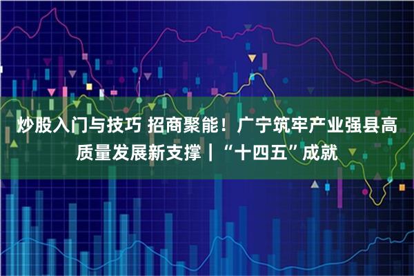 炒股入门与技巧 招商聚能！广宁筑牢产业强县高质量发展新支撑｜“十四五”成就