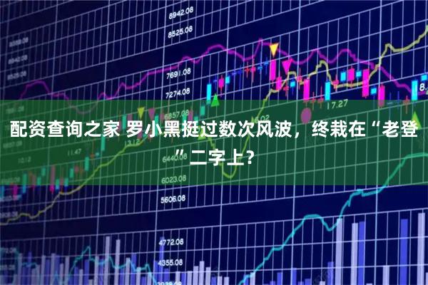 配资查询之家 罗小黑挺过数次风波，终栽在“老登”二字上？